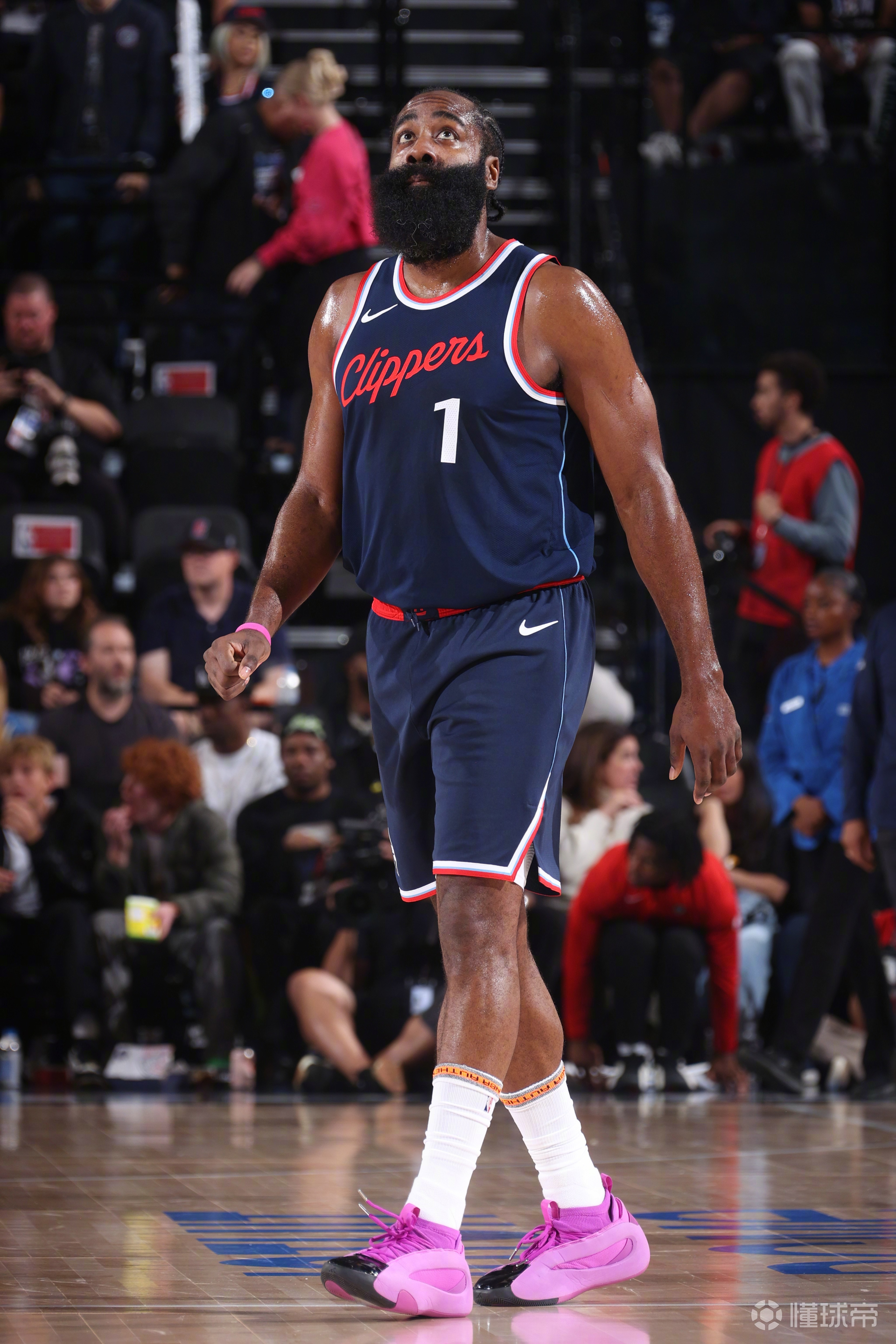 开云官方网页登录-&quot;快船队迎来全明星级表现，胜局已定&quot;的简单介绍