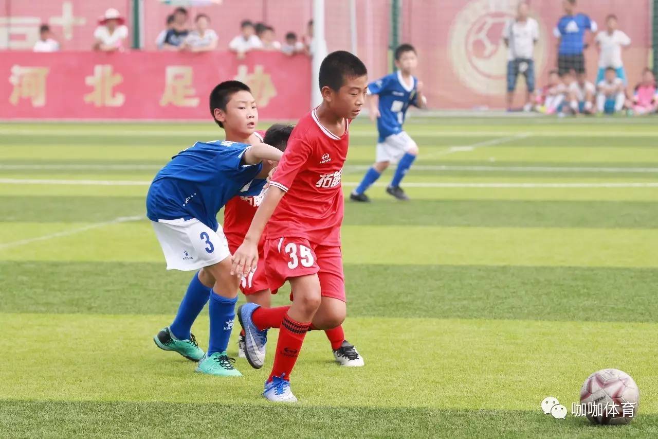 青少年篮球“未来之星”系列培训在全国推广,选拔优秀苗子的简单介绍 青少年篮球“未来之星”系列培训在全国推广,选拔优秀苗子的简单介绍